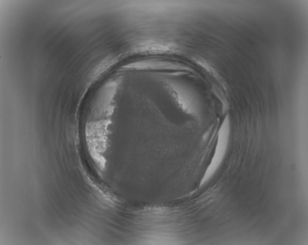 X0000056330582200509232015