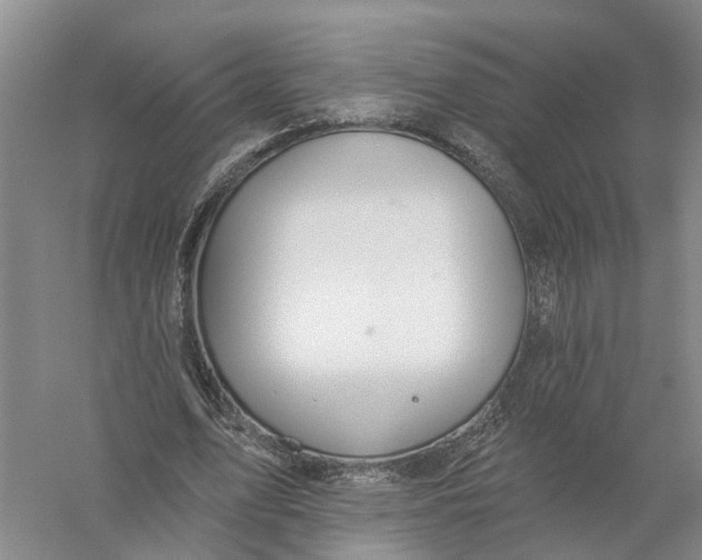 X0000056330583200509232015