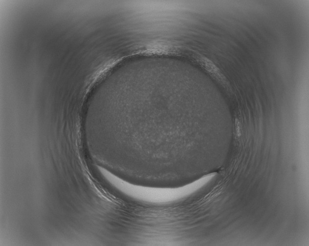 X0000056330588200509232015