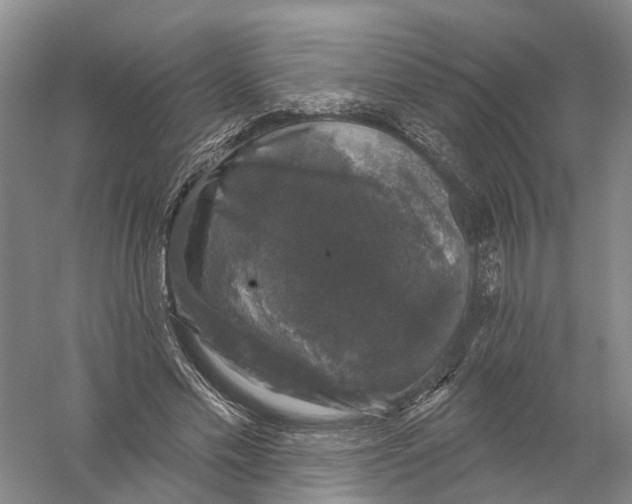 X0000056330589200509232015