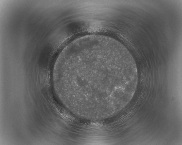 X0000056330592200509232015