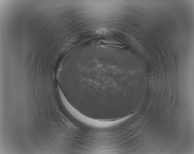 X0000056330593200509232015