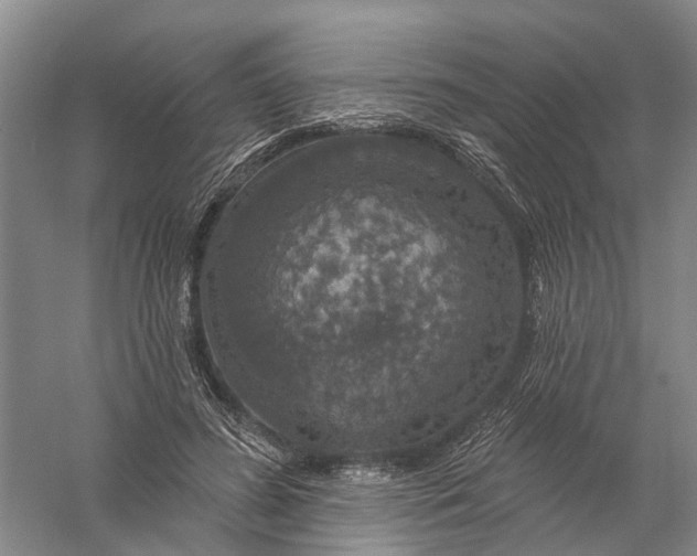 X0000056330596200509232015