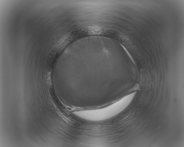 X0000056330598200509232015