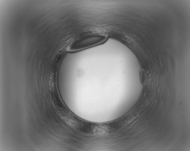 X0000056330599200509232015