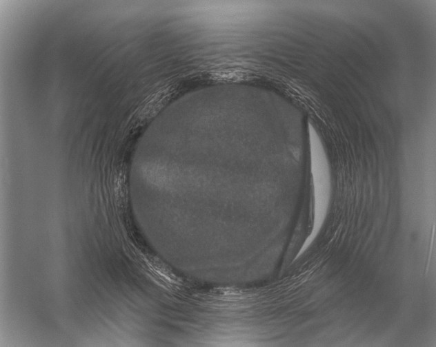 X0000056330601200509232015