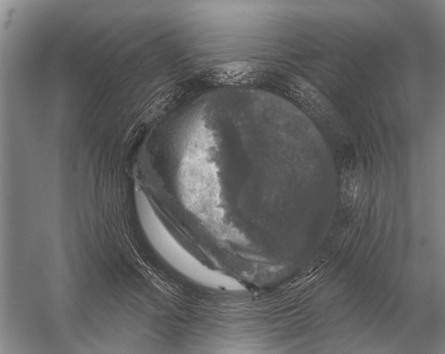 X0000056330602200509232015