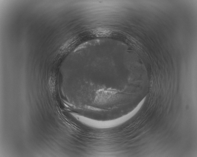 X0000056330604200509232015