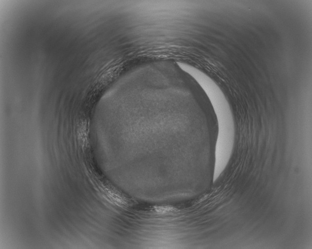 X0000056330605200509232015