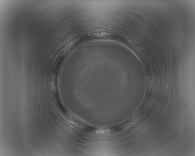 X0000056330606200509232015