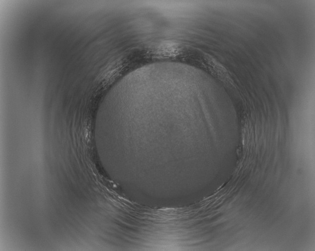 X0000056330608200509232015