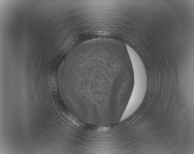 X0000056330609200509232015