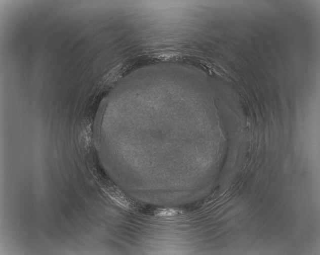 X0000056330611200509232014