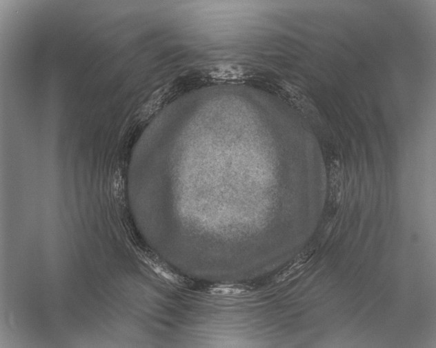 X0000056330614200509232014