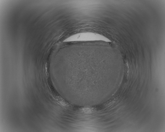 X0000056330615200509232014