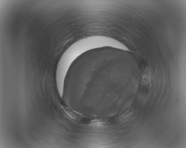 X0000056330620200509232014