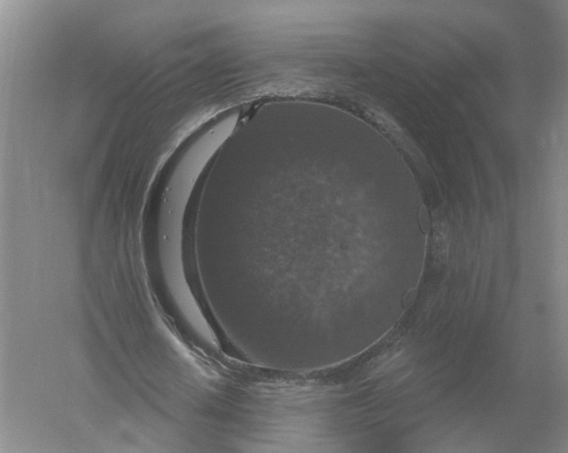 X0000056330626200509232013