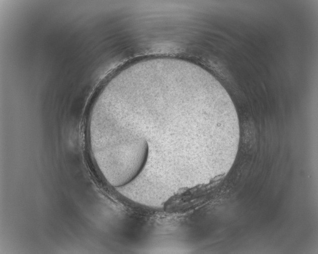 X0000056330632200509232014