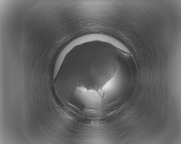 X0000056330641200509232014