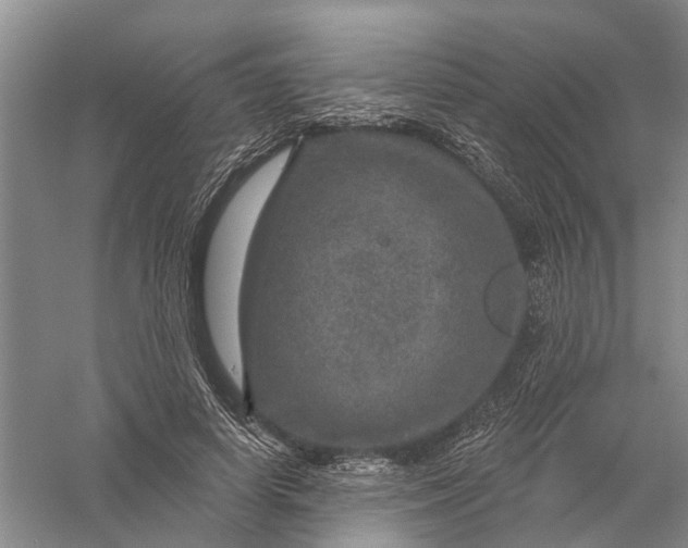 X0000056330642200509232014