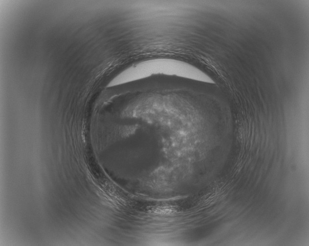 X0000056330643200509232014