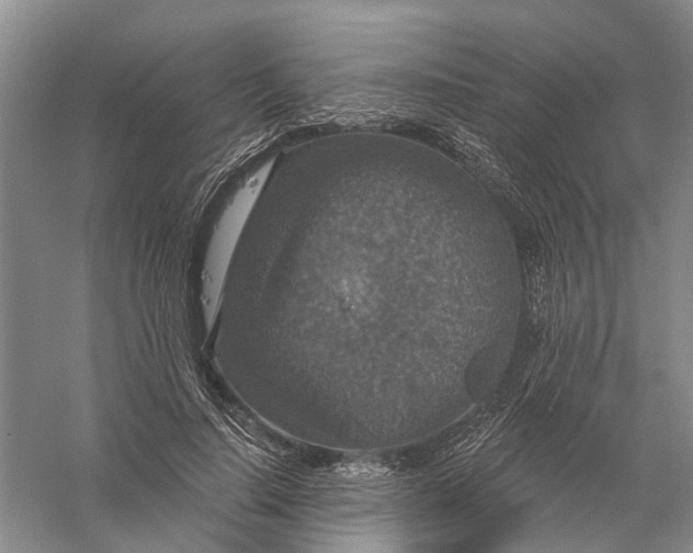 X0000056330644200509232014