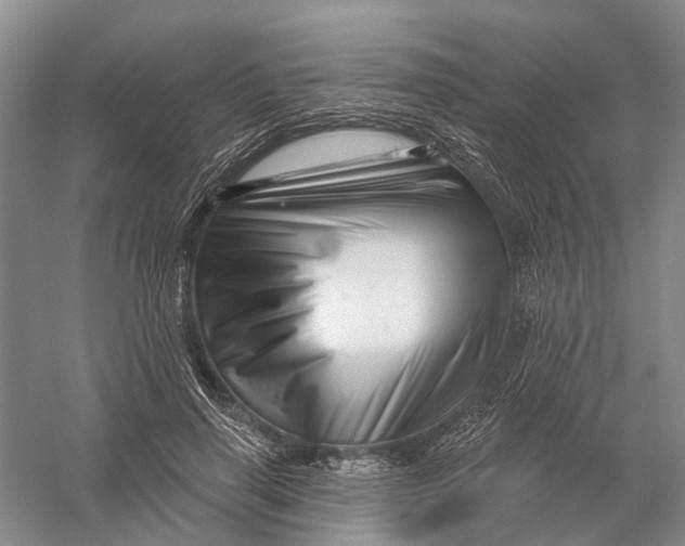 X0000056330645200509232014