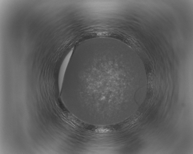 X0000056330650200509232014