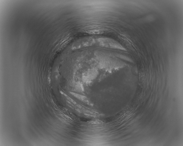 X0000056330652200509232014