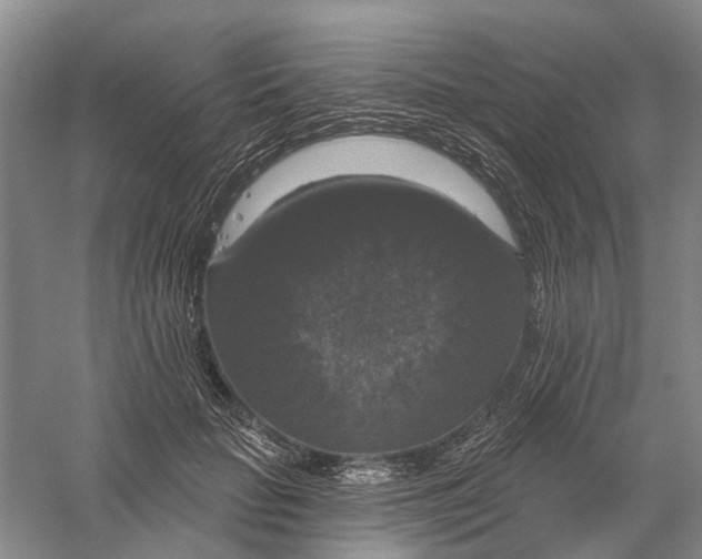 X0000056330653200509232014