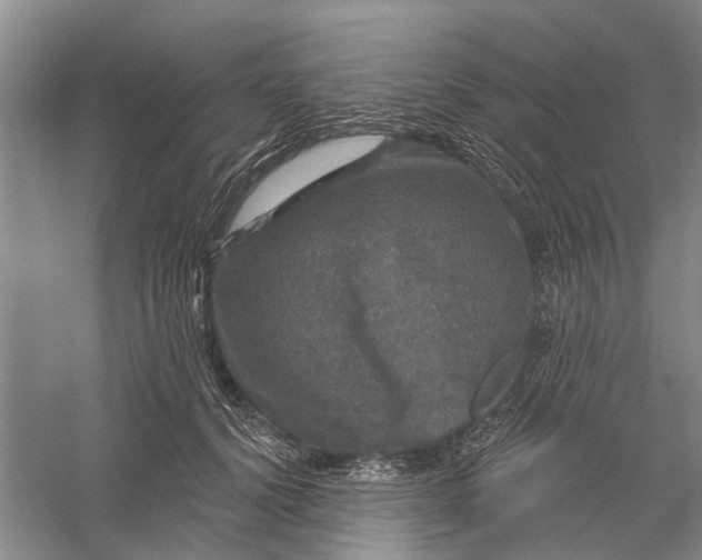 X0000056330656200509232014