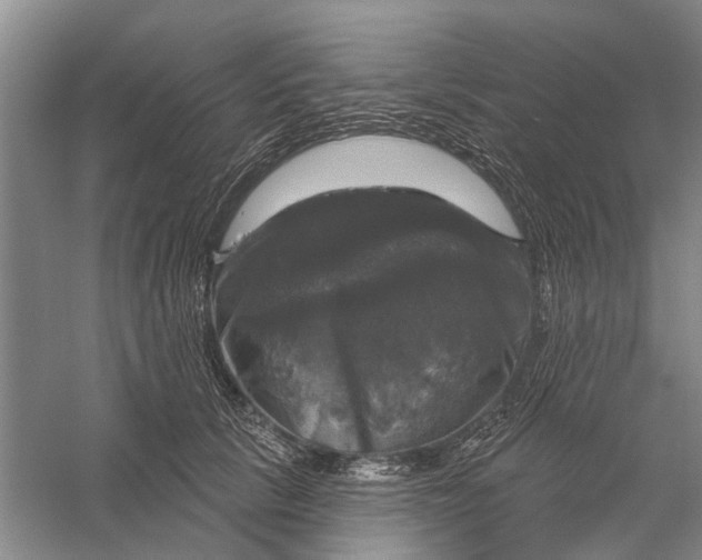 X0000056330657200509232014