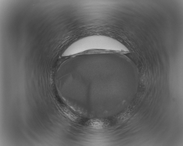 X0000056330658200509232014