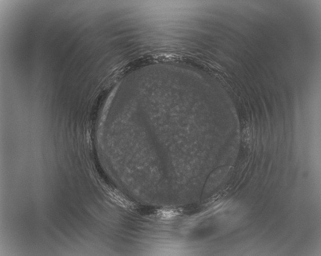 X0000056330662200509232014