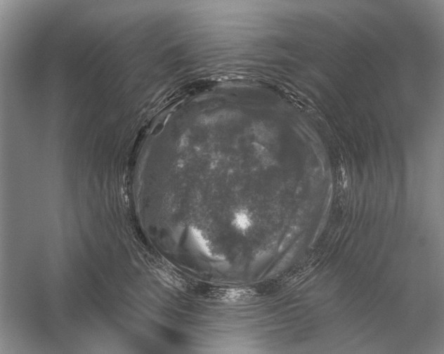 X0000056330663200509232014