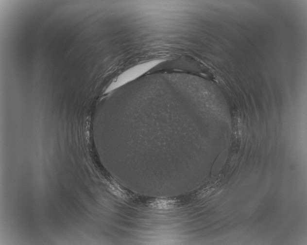 X0000056330664200509232014