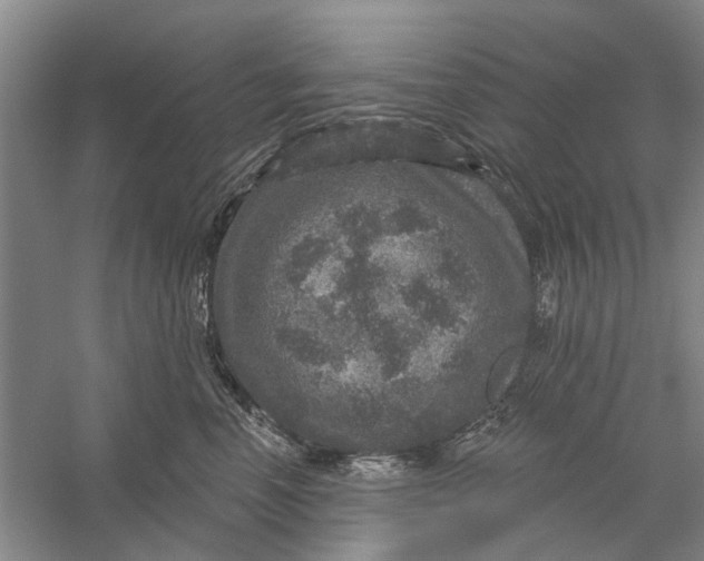 X0000056330666200509232014