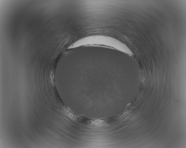 X0000056330669200509232014