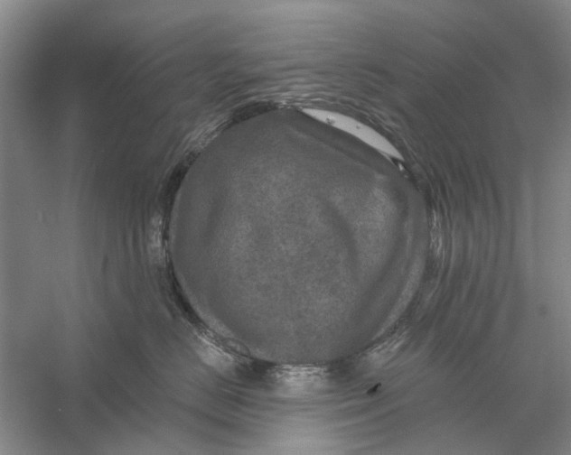 X0000056330670200509232014