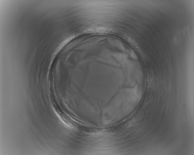 X0000056330674200509232013