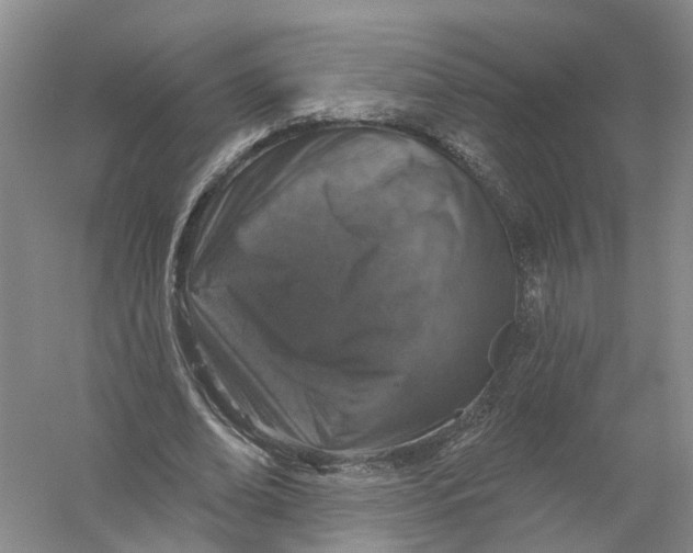 X0000056330678200509232013