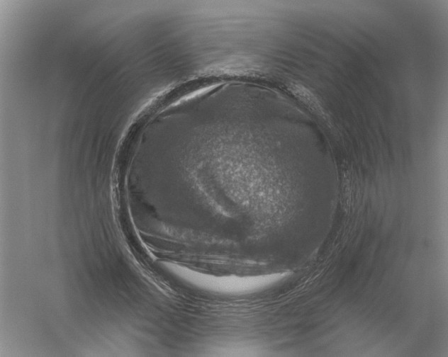 X0000056330680200509232013