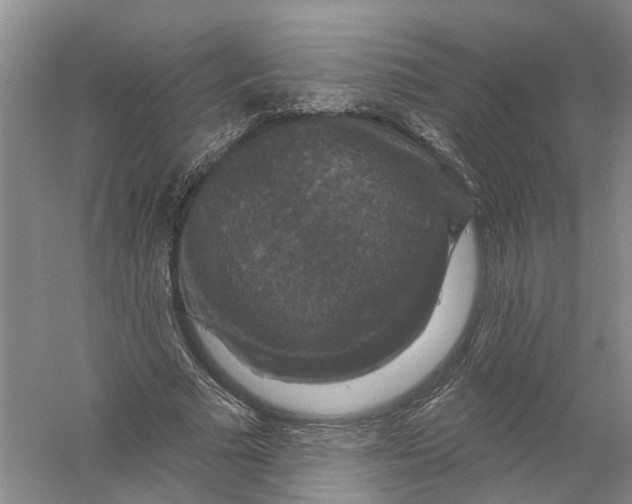 X0000056330681200509232013