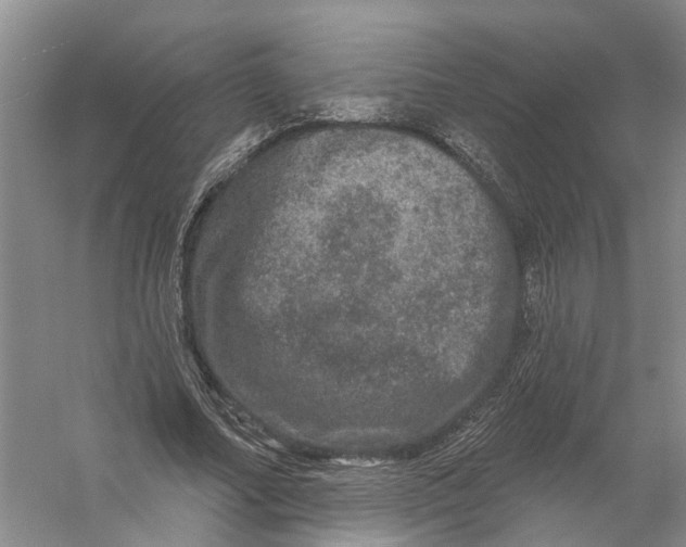 X0000056330682200509232013