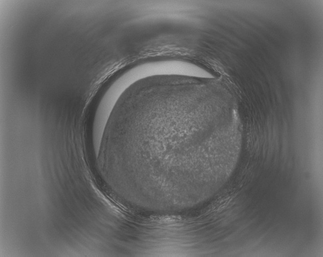 X0000056330683200509232013