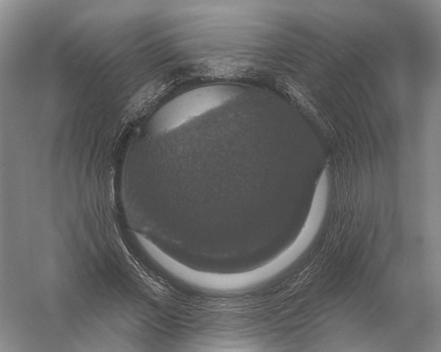 X0000056330685200509232013