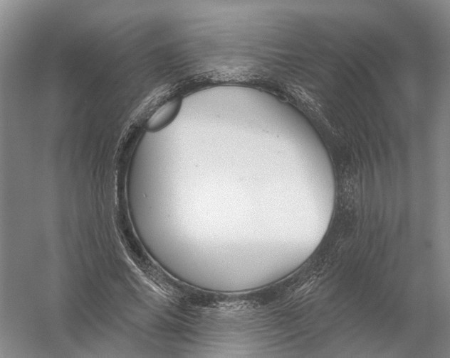 X0000056330686200509232013