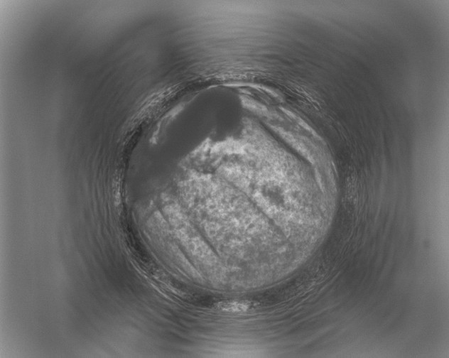 X0000056330687200509232013