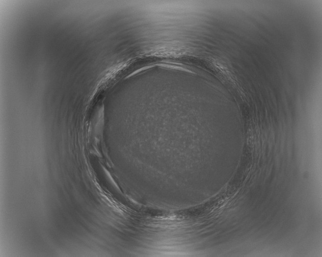 X0000056330688200509232013