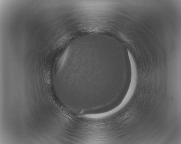 X0000056330689200509232013